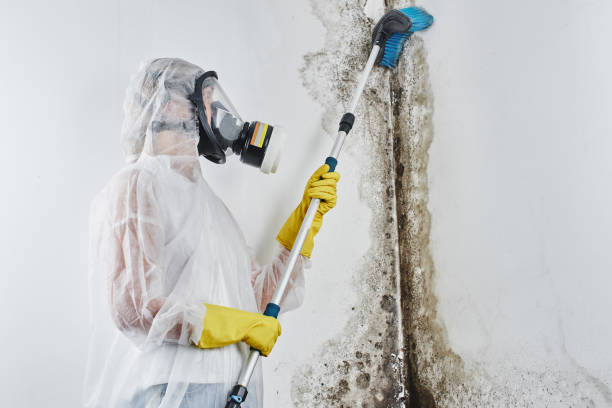 Best Water Damage Restoration  in Aspermont, TX