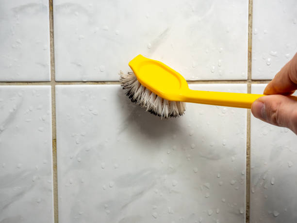 Best Attic Mold Removal  in Aspermont, TX