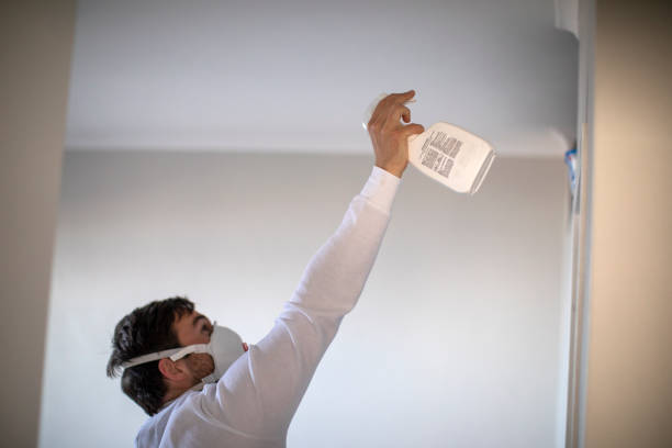 Best Crawl Space Mold Removal  in Aspermont, TX