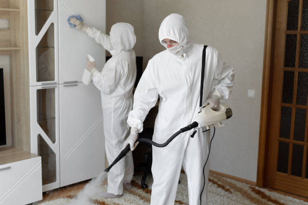 Best Residential Mold Removal  in Aspermont, TX