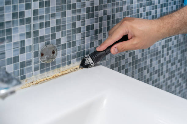Best Mold Cleaning Services  in Aspermont, TX