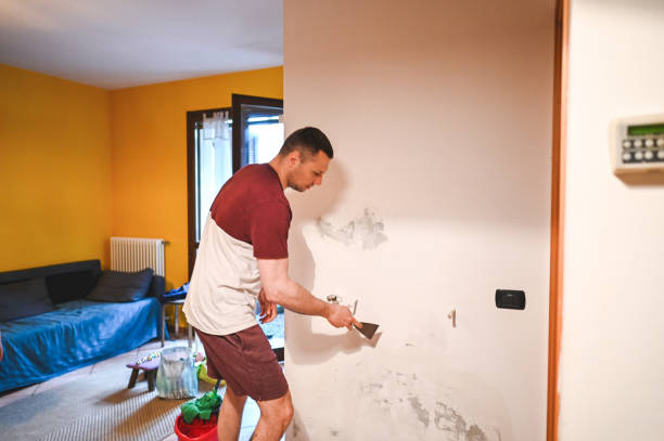 Best Residential Mold Removal  in Aspermont, TX